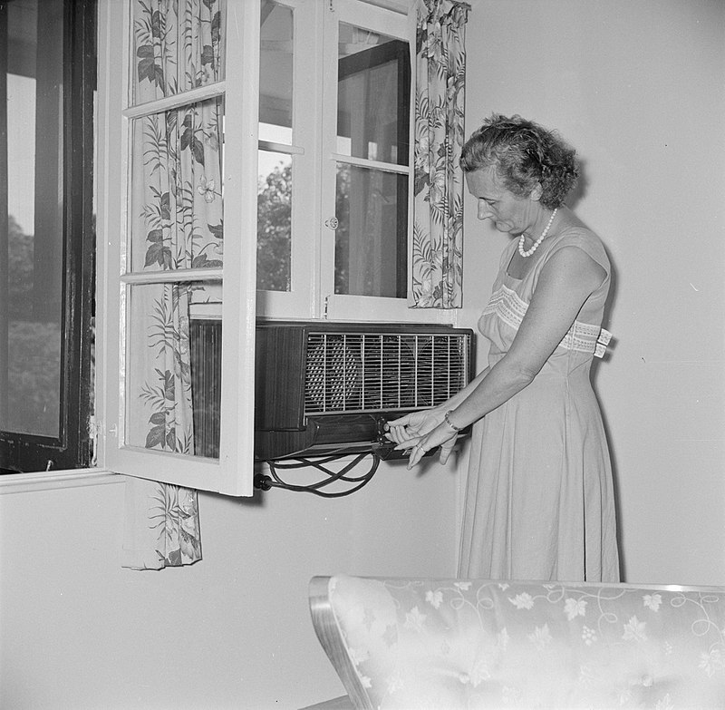 Paola Miglio