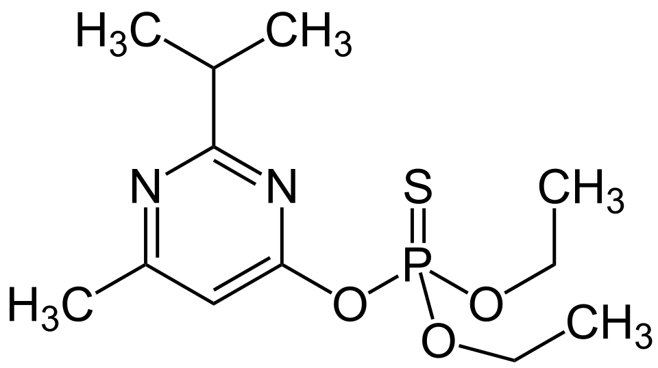 Parnia Amani