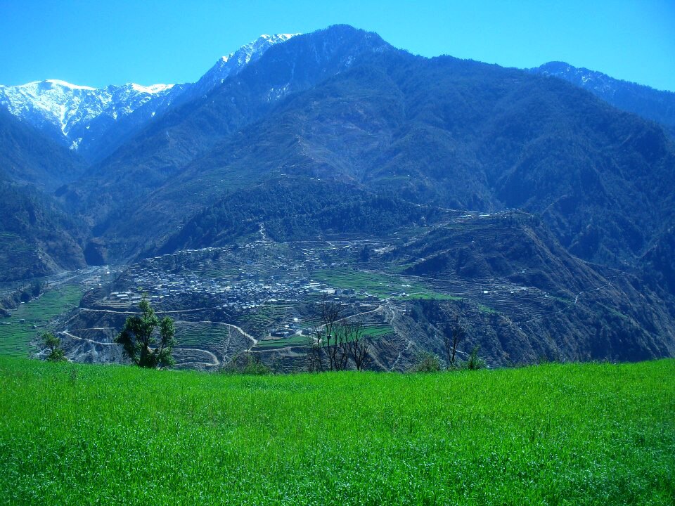 Parvati Damai
