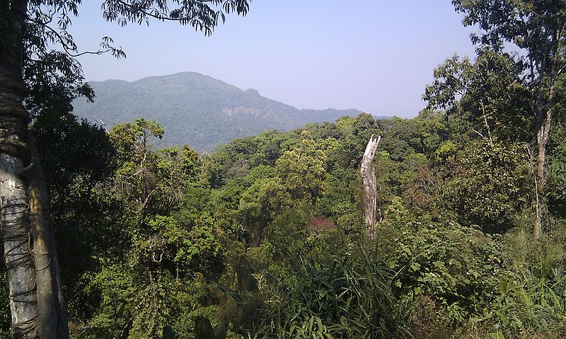 Paskorn