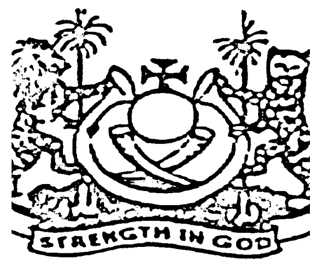 Patience Okala