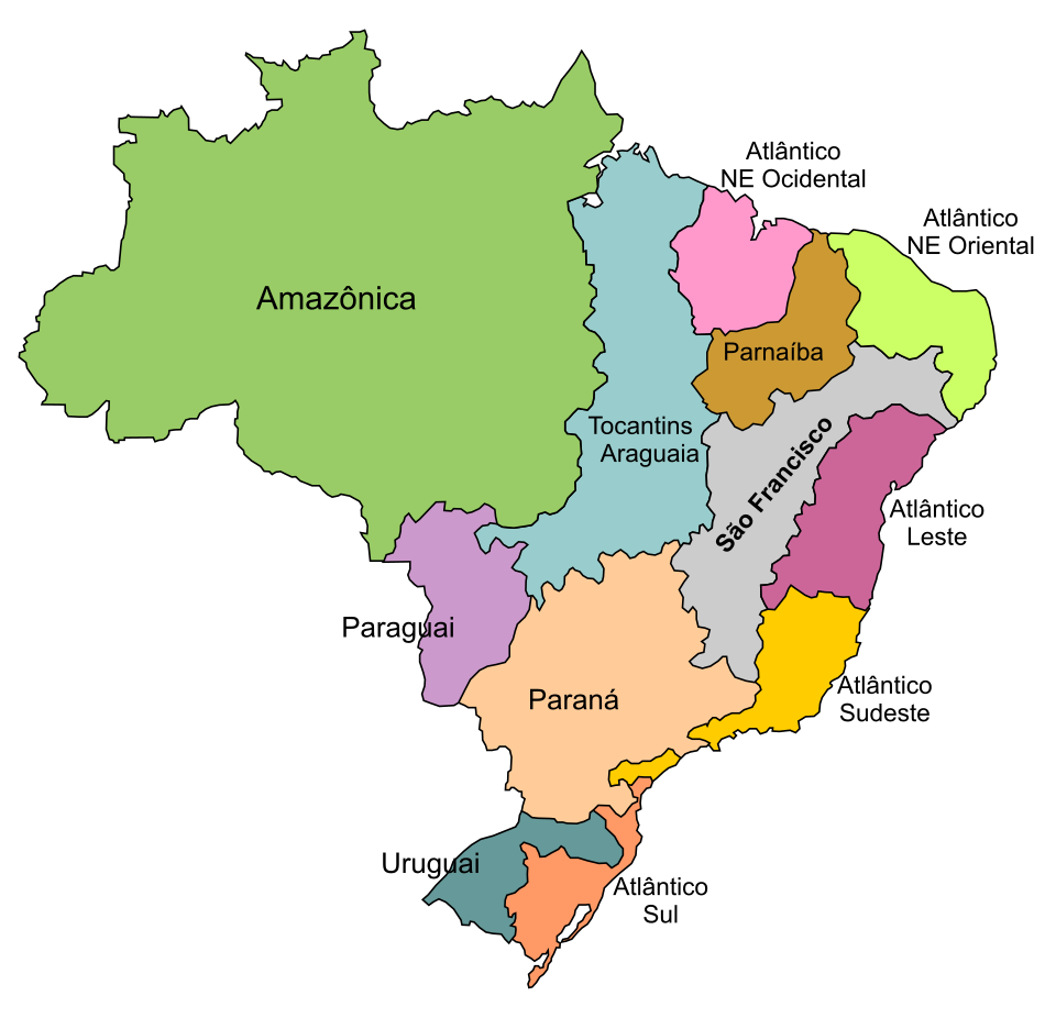 Paulo Branquinho