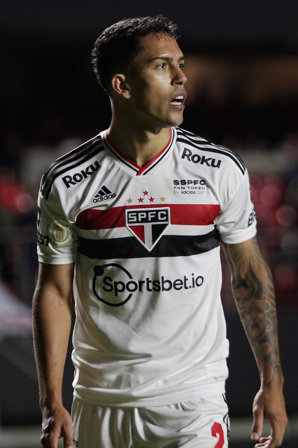 Paulo Vinícius dos Santos