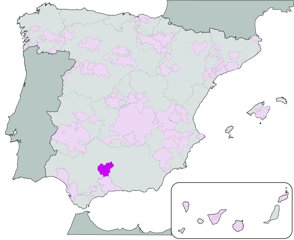 Pedro Luis Montilla Castillo