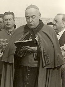 Pedro Monreal