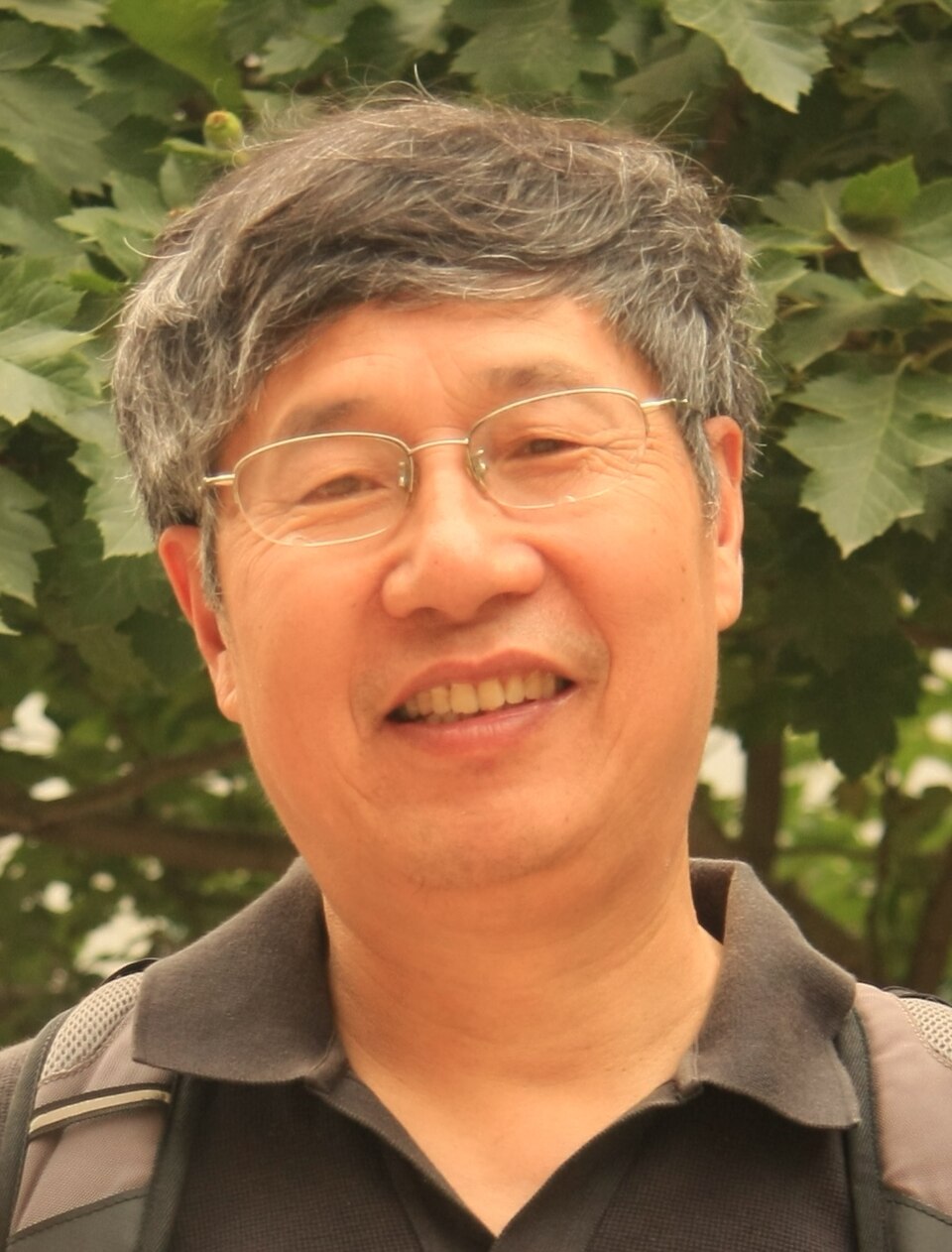 Peng Zhenyi