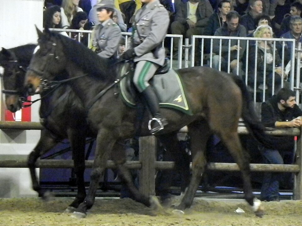 Persano