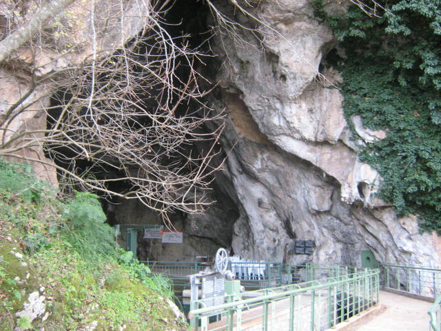 Pertosa