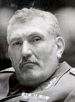 Petar Adžić