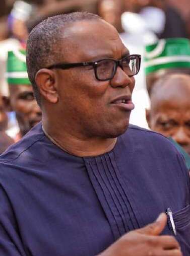 Peter Gregory Obi