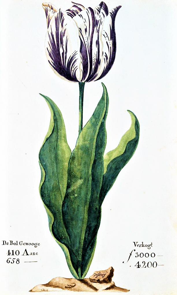 Peter Tulip