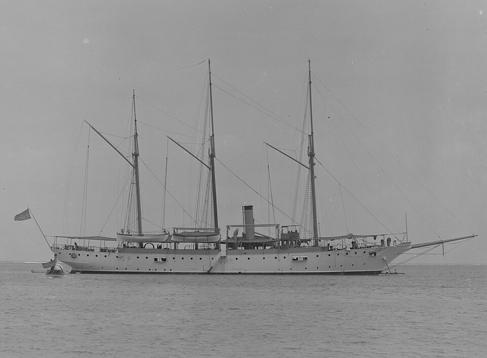 Petosi Virginia