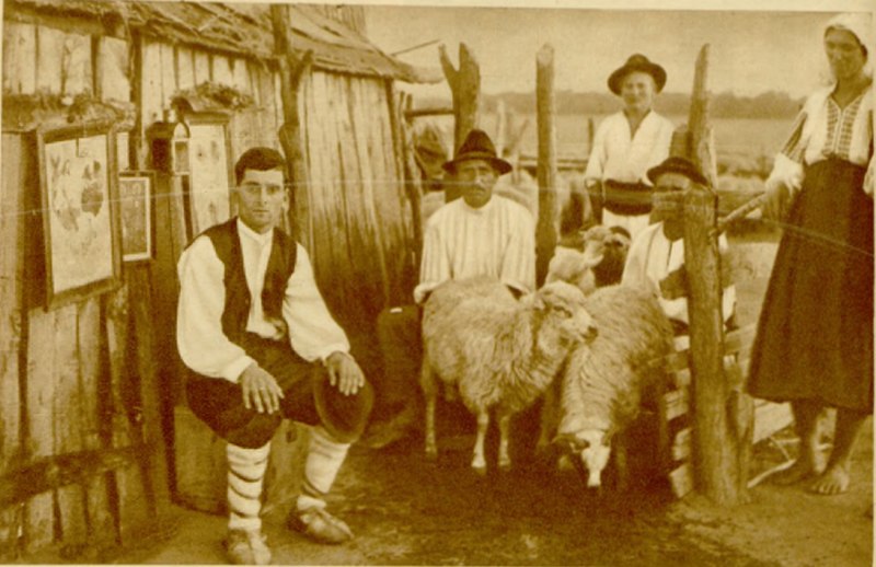 Petre Lupu
