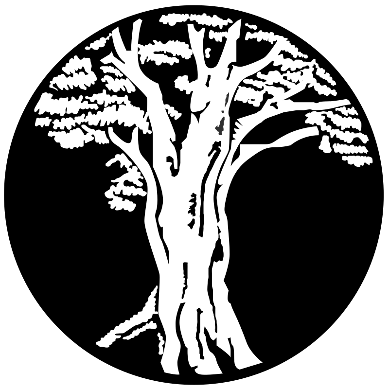 Phaidon Vegleris