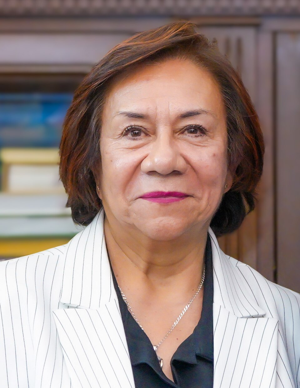 Piedad Villavicencio