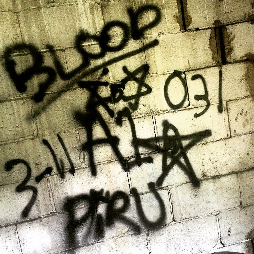 Pirus