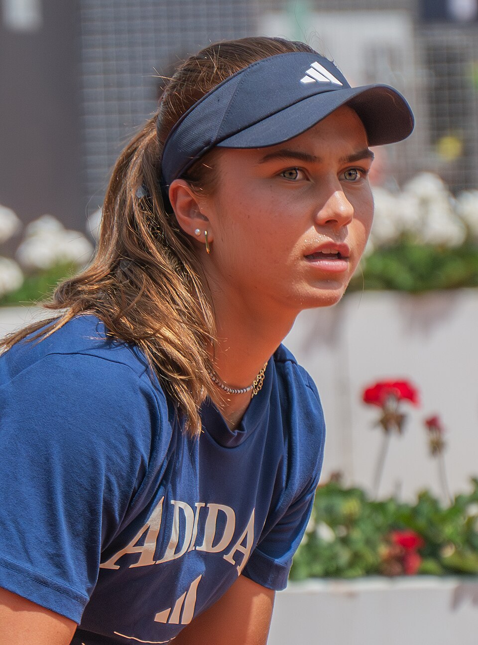 Polona Novak