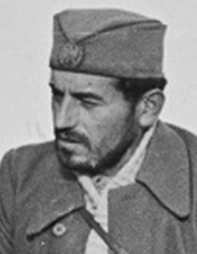 Predrag Terzić