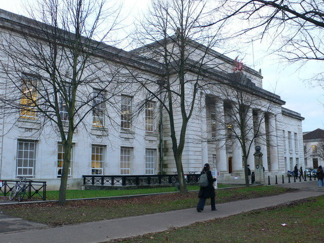 Prof Sarah Hawkes