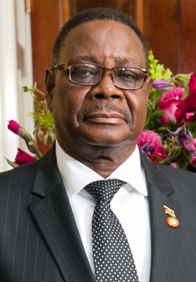 Professor Peter Mutharika