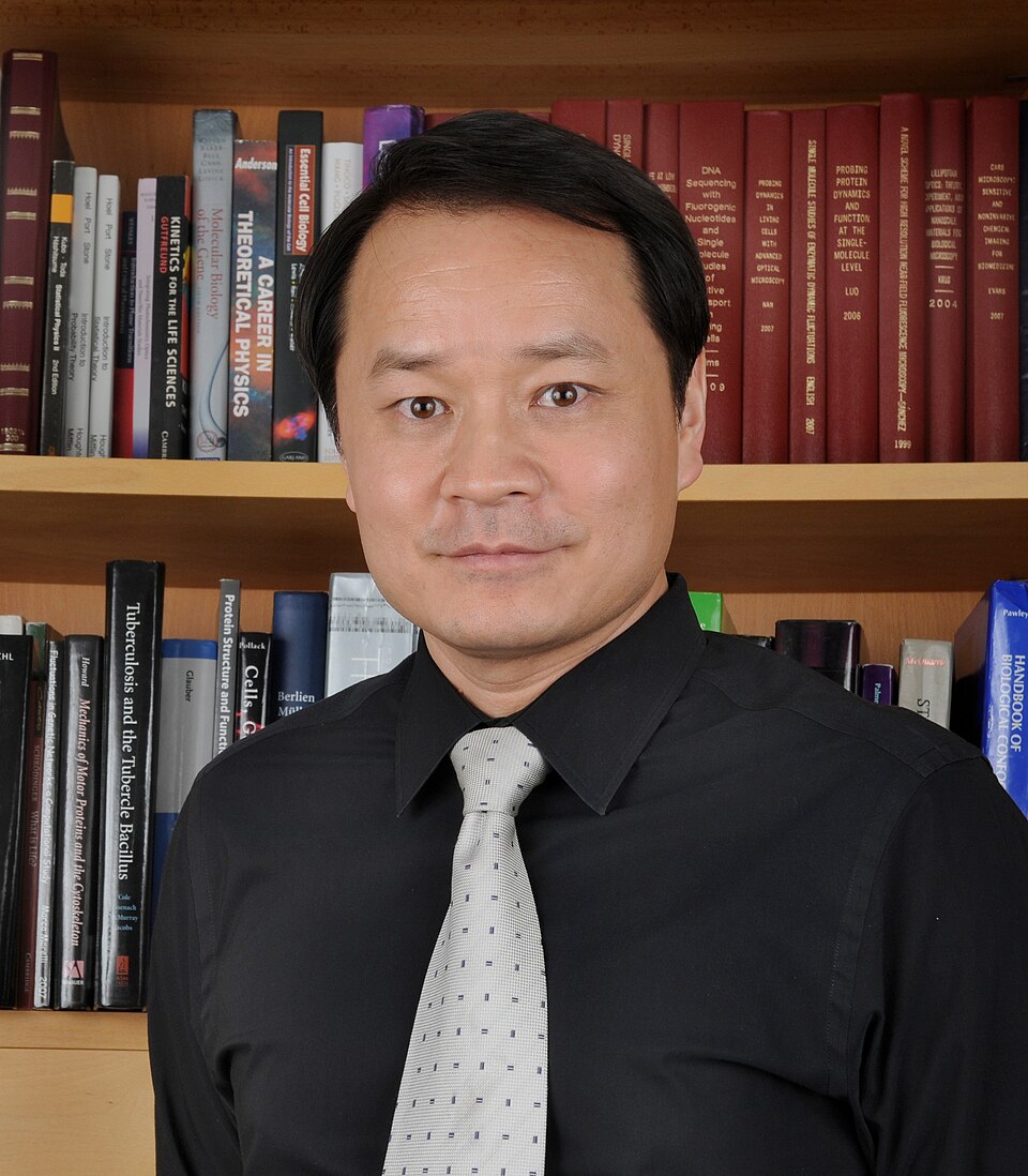 Qiao Sijia