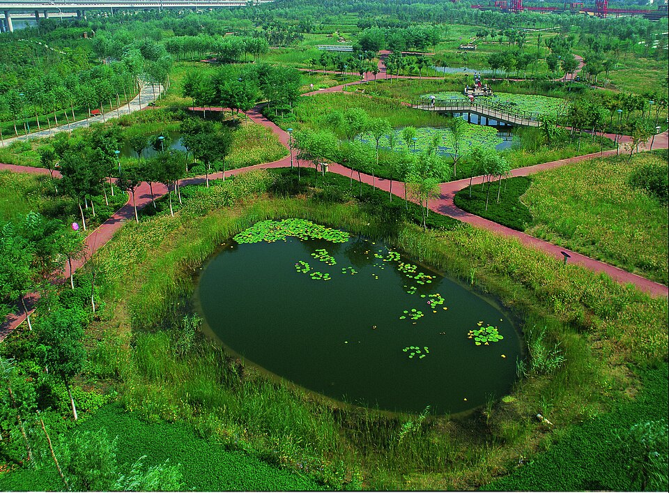 Qiao Yunfei