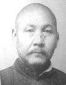 Qinlin Li