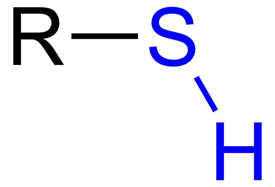 R. Sh.
