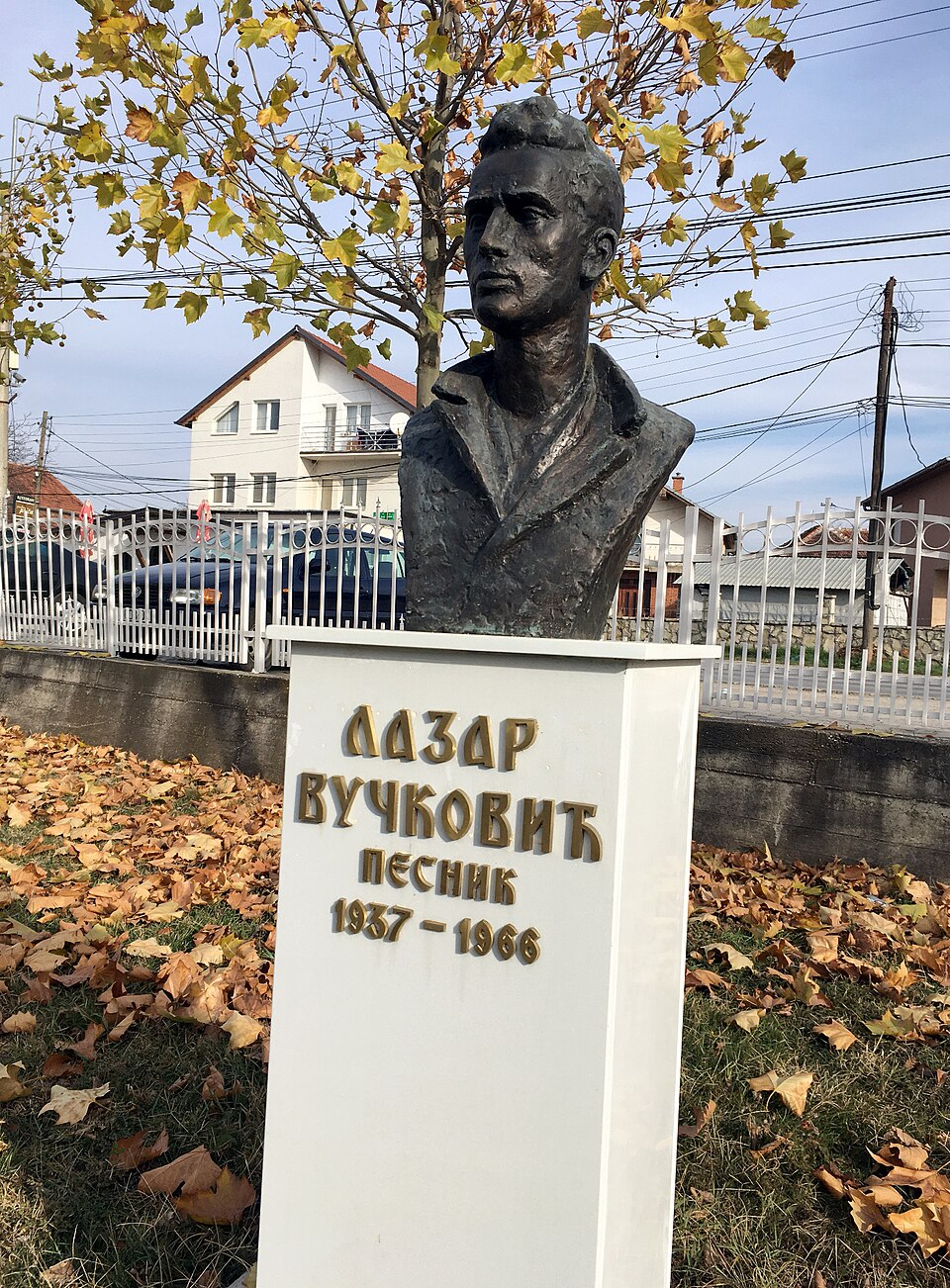 Rade Scepanovic
