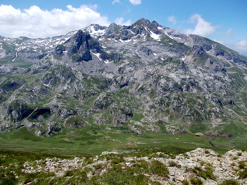 Radika Maric