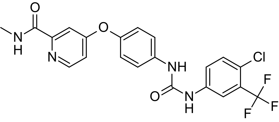 Raf Ciccone