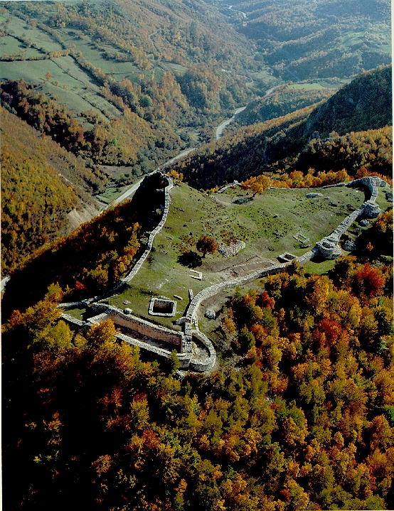 Ras Dimo