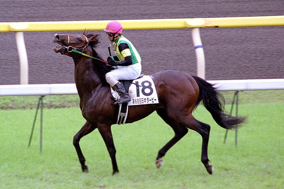 Ray Paulick