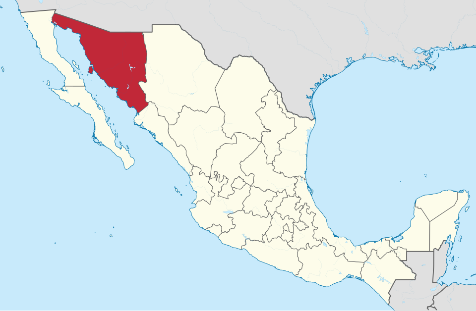 Reina Guadalupe Saldívar Cardona