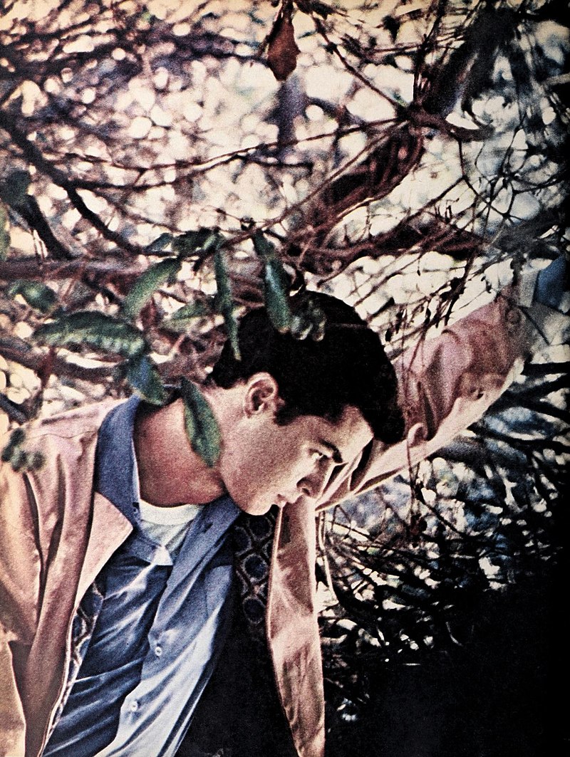 Richard Beymer