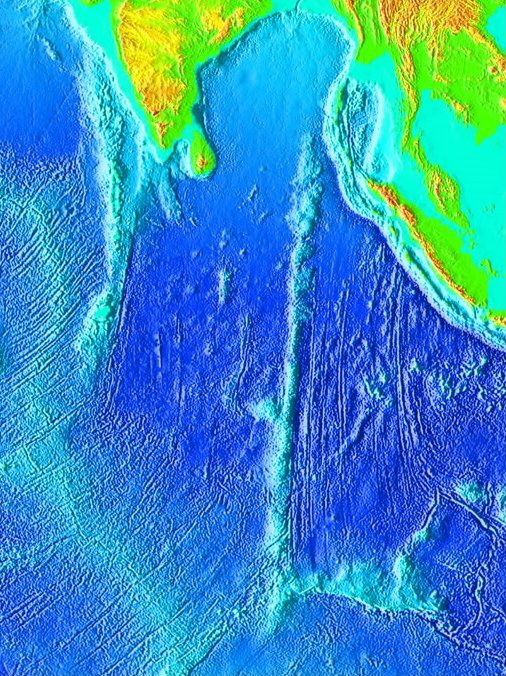 Ridge Rajaram