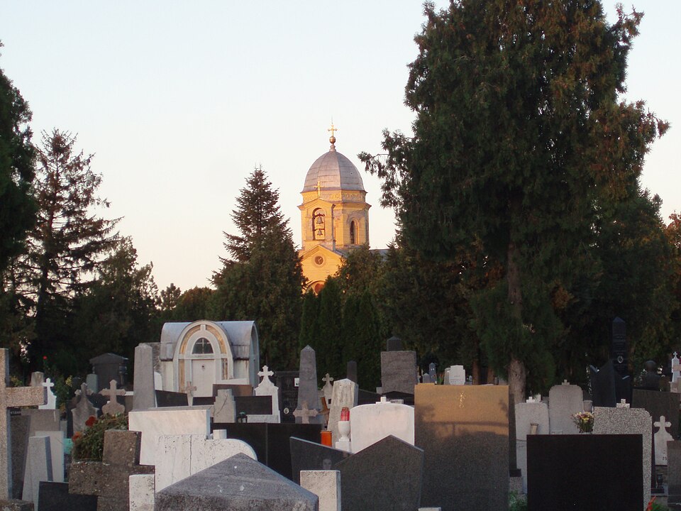 Rivka Herzl