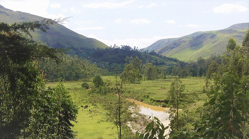 Robert Kigongo