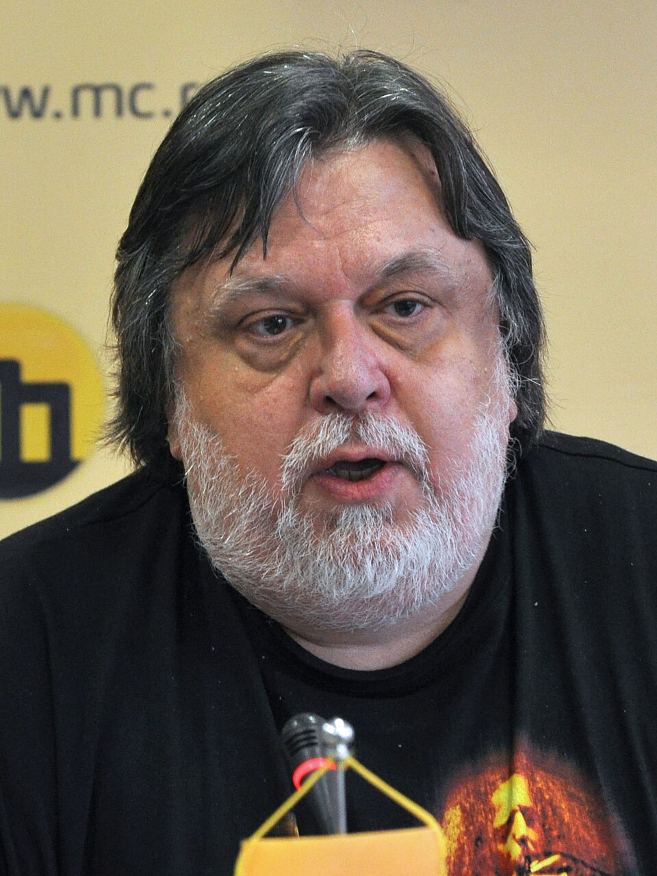 Robert Radojičić