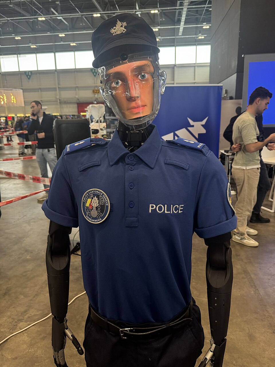 Robert the Robot