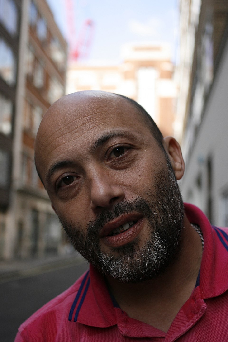 Robin Berstein
