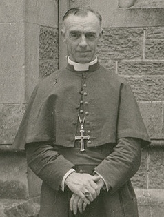 Robin Percival
