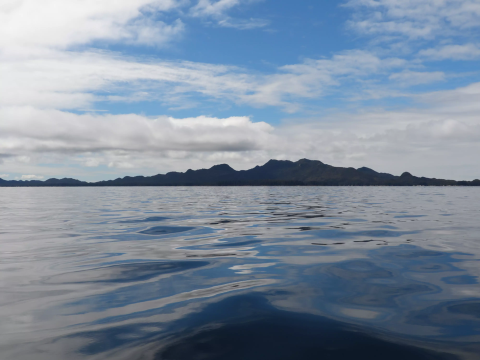Rod Island