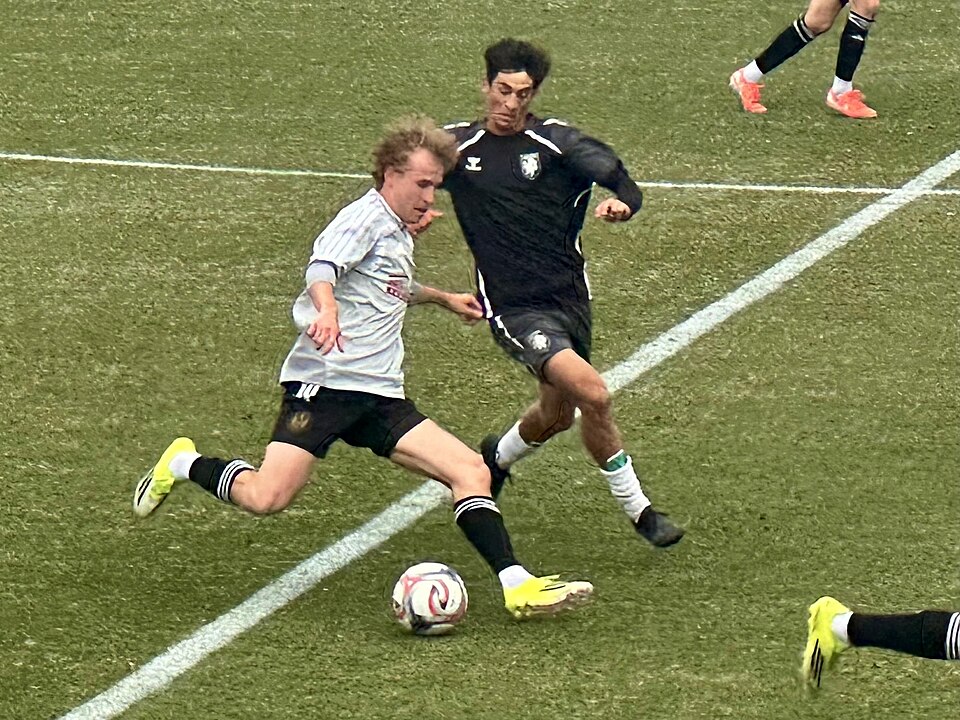 Rodrigo Gill