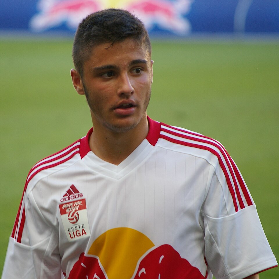 Roguljić