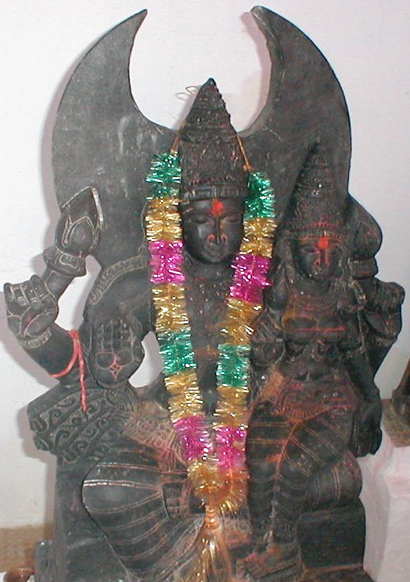 Rohini Shah