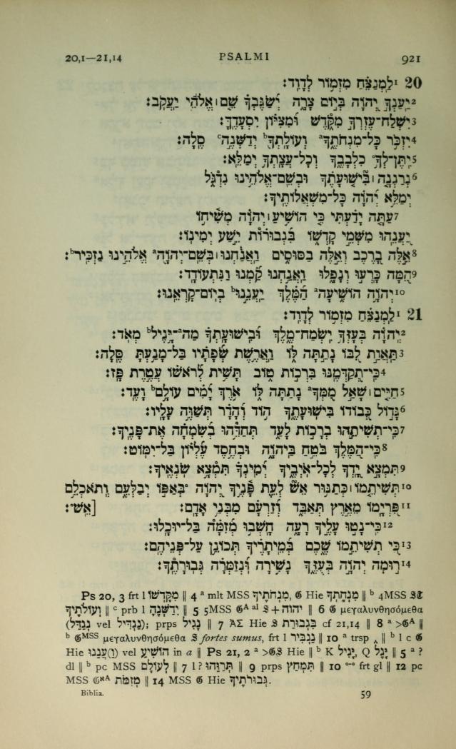 Roi Shushan