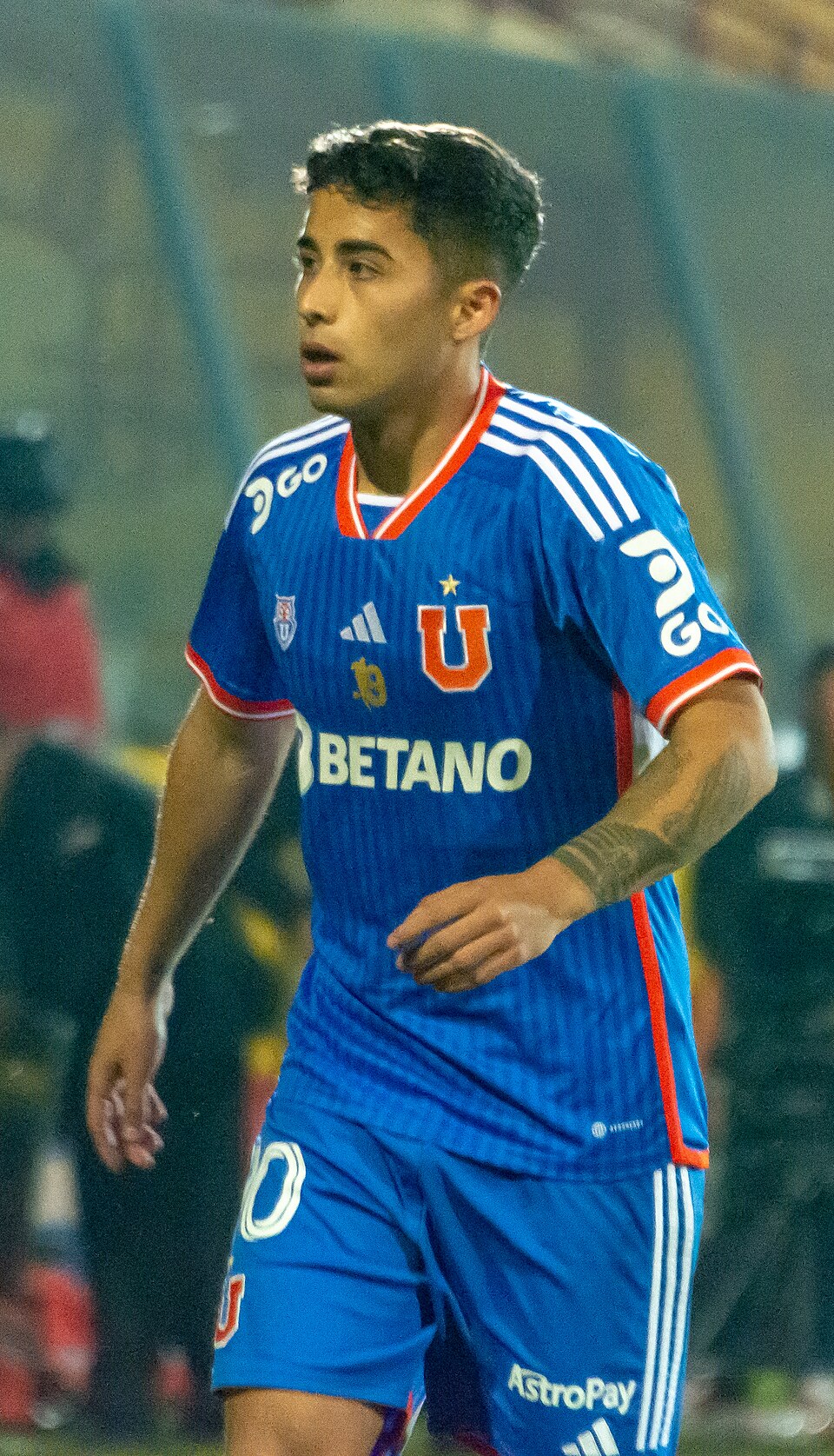 Roja Assadi