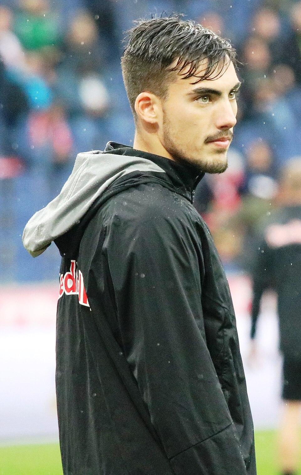 Roko Gale