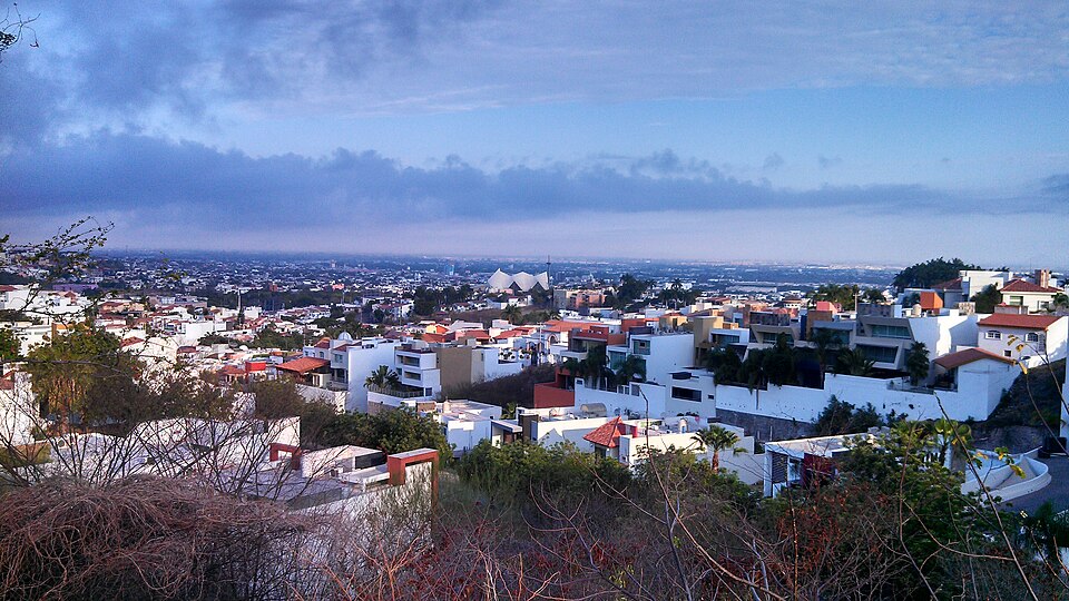 Rolando Lopez-Meneses